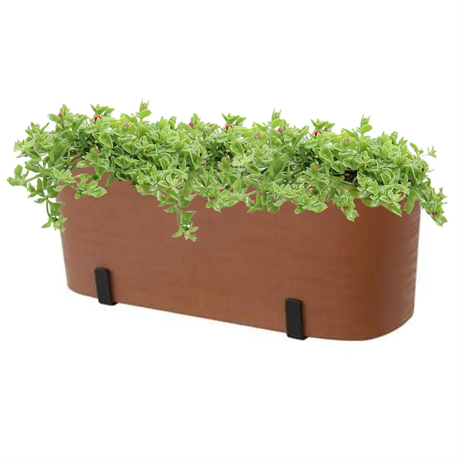 Fioriera rettangolare Paros da 40 cm in colore terracotta con 3 piante vere di Aptenia Variegata a portamento ricadente, perfetta per ringhiere e terrazzi soleggiati