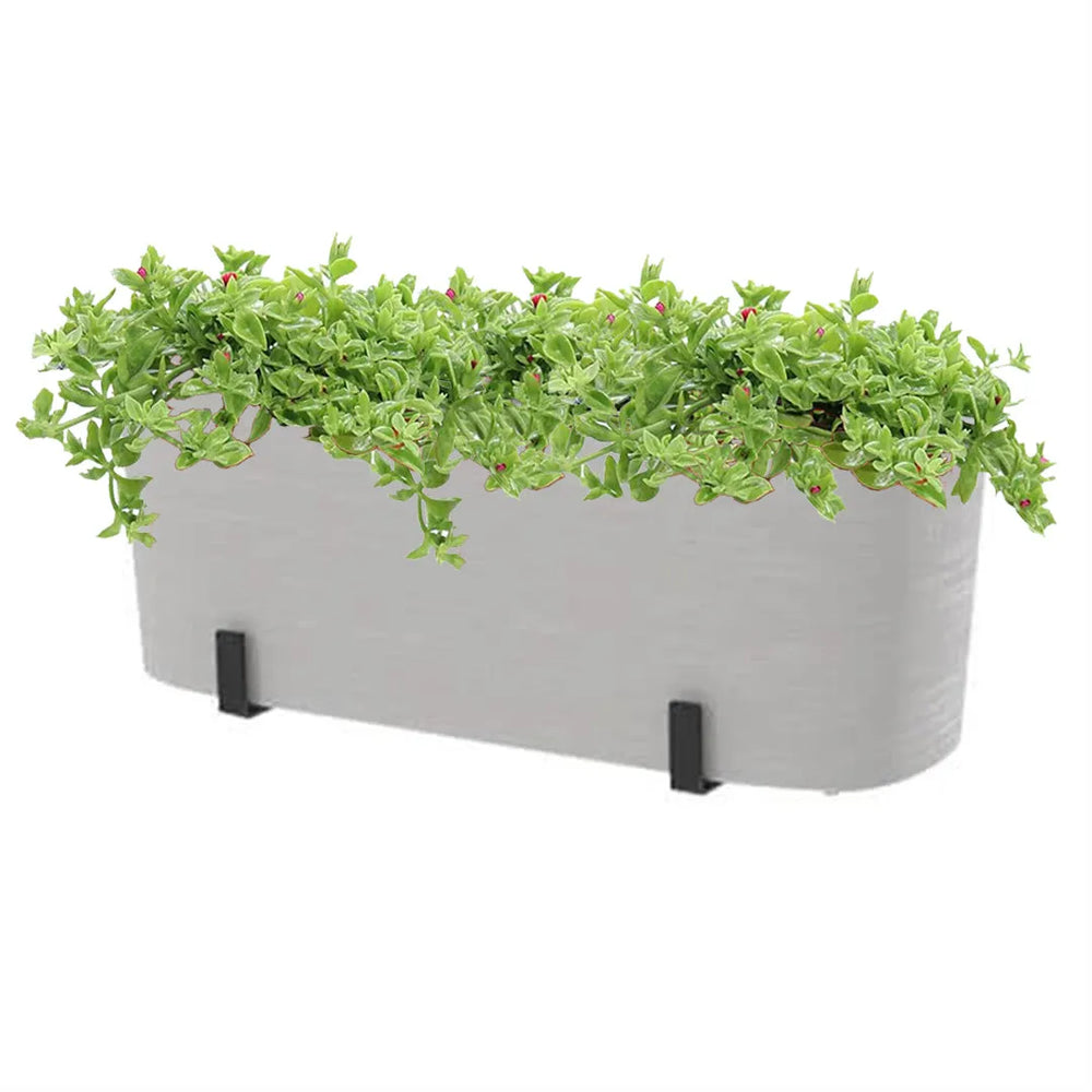 Set da balcone con fioriera Paros bianca 40 cm, riserva d’acqua integrata e 3 piante ricadenti di Aptenia Variegata – decorazione verde senza fatica