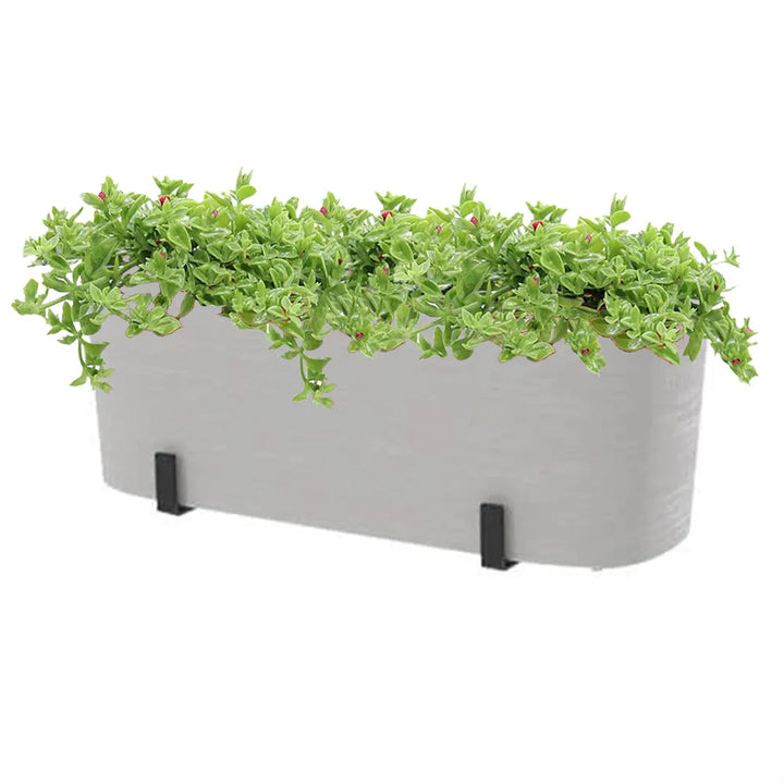 Set da balcone con fioriera Paros bianca 40 cm, riserva d’acqua integrata e 3 piante ricadenti di Aptenia Variegata – decorazione verde senza fatica