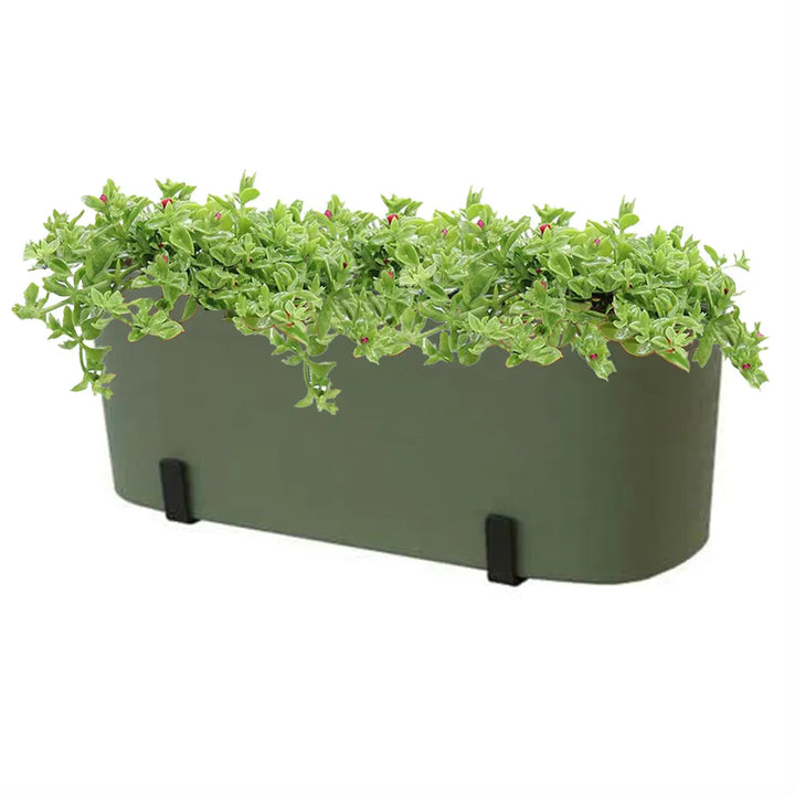 Fioriera Paros 40 cm verde oliva con piante vere succulente Aptenia Variegata, resistenti al caldo e ideali per esposizione al sole