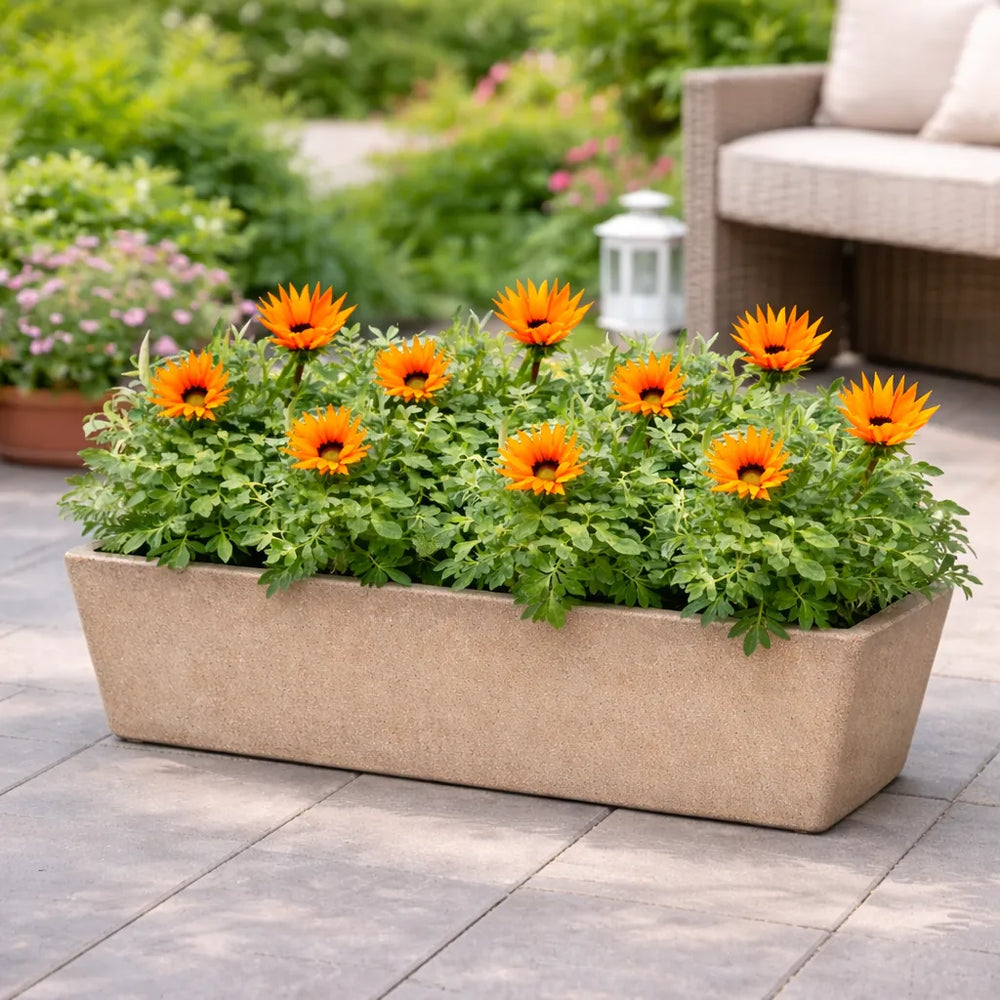 Gazania fiore giallo e arancione, vista ravvicinata dei petali vibranti