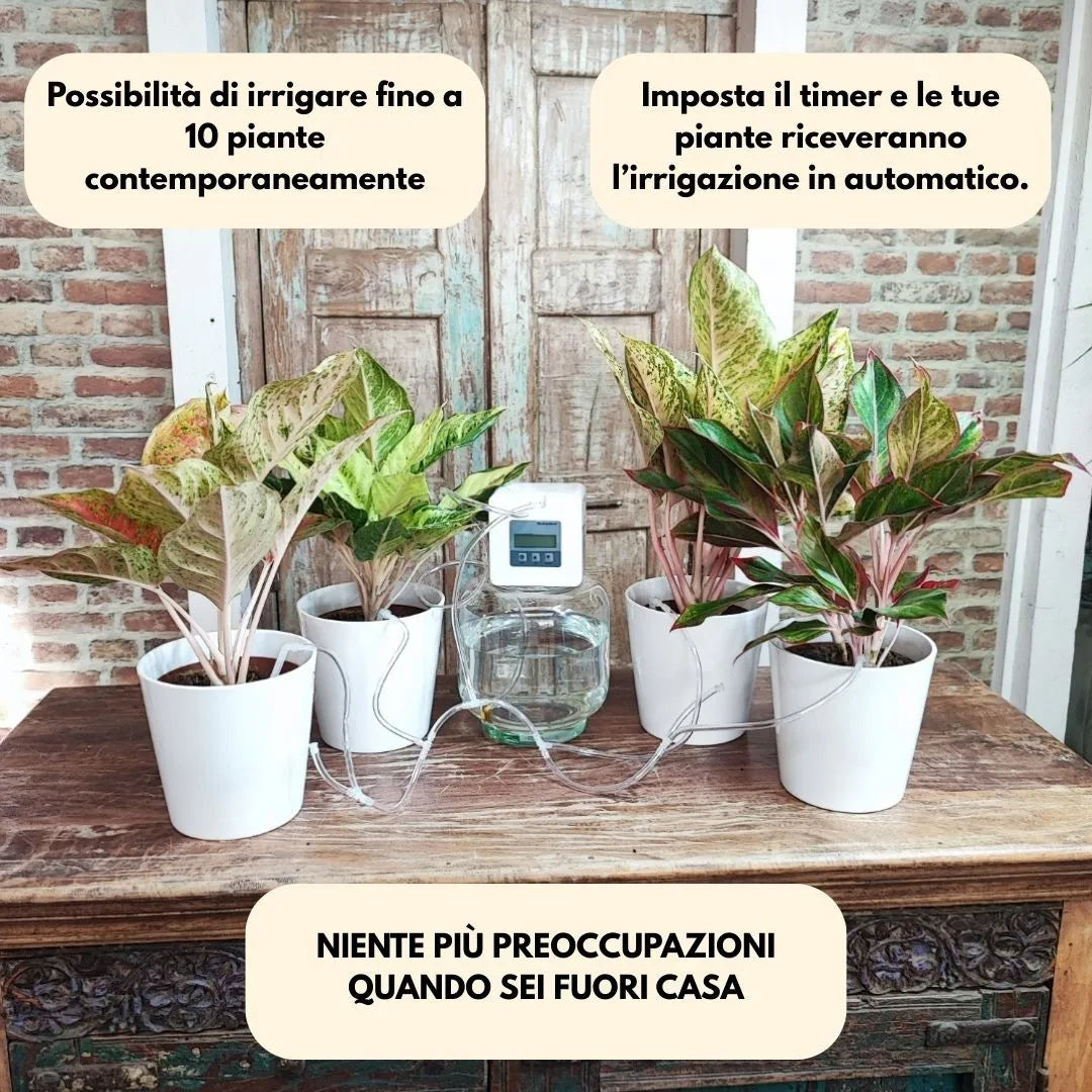 Esempio di irrigazione automatica su più vasi con centralina Moisttenland e timer impostato