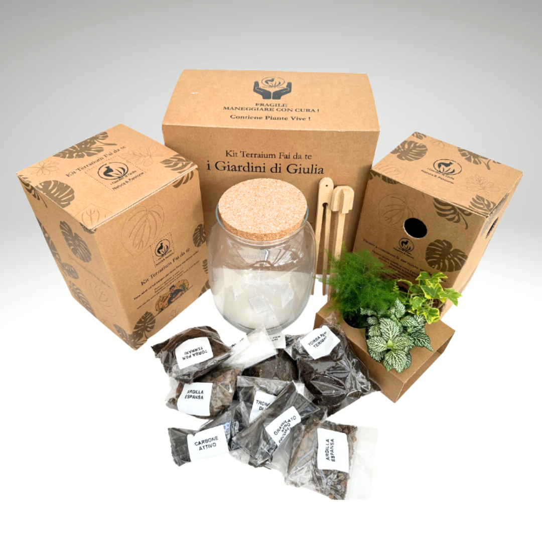 Kit Fai Da Te Terrarium Completo - Crea il Tuo Mini Giardino Elegante