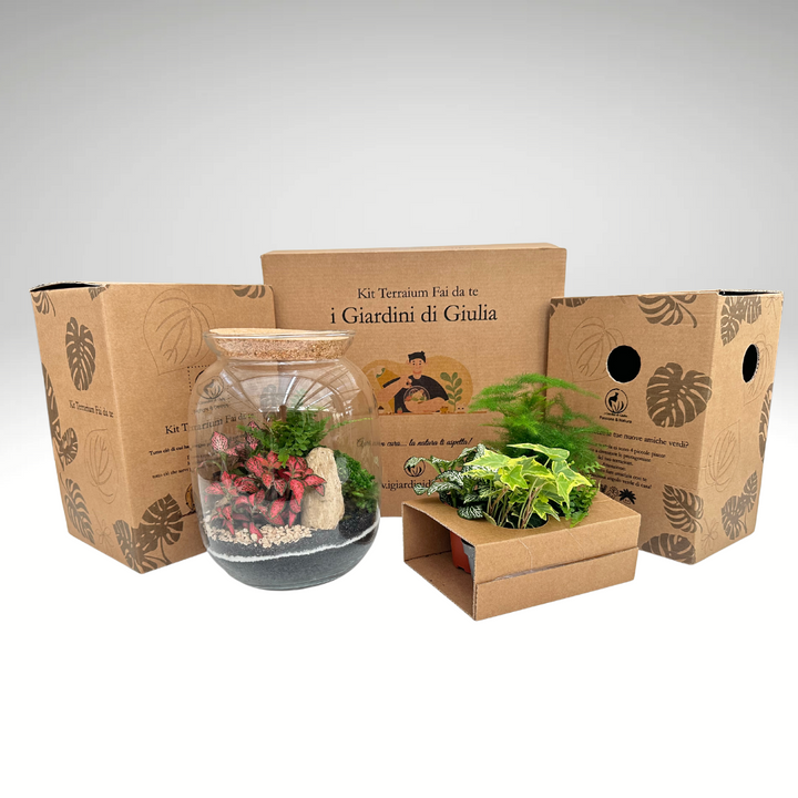 Kit Fai Da Te Terrarium Completo - Crea il Tuo Mini Giardino Elegante