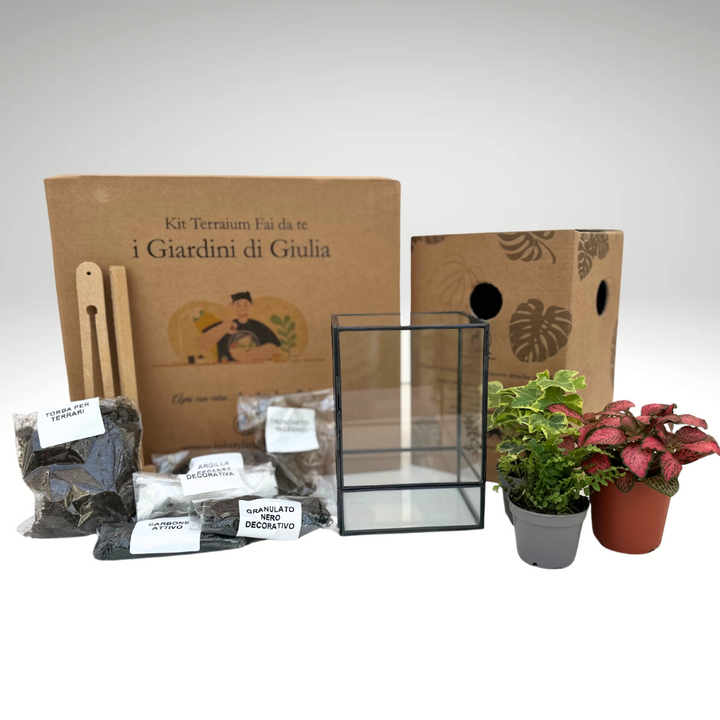 Kit Terrarium Geometrico Fai Da Te ADA | Crea il Tuo Giardino da Interno