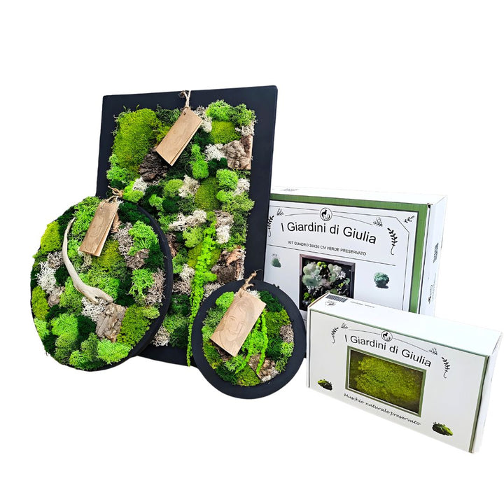 Kit Verde Stabilizzato Quadro rettangolare 25x14 cm.