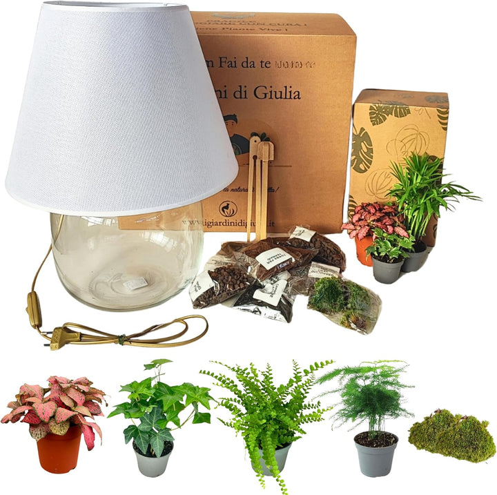 Kit terrarium fai-da-te con base in vetro a forma di lampada, paralume bianco, set completo di materiali per il montaggio e piante verdi vere come felce, asparagus, edera, fittonia e muschio 