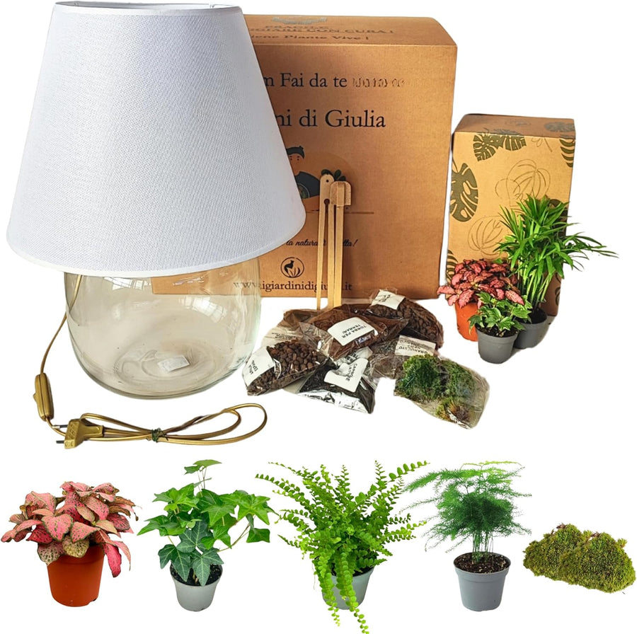 Kit terrarium fai-da-te con base in vetro a forma di lampada, paralume bianco, set completo di materiali per il montaggio e piante verdi vere come felce, asparagus, edera, fittonia e muschio 