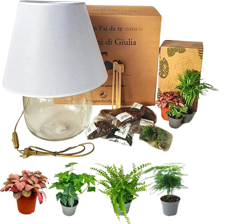 Kit Terrarium Lamparium Grande con piante verdi - i Giardini di Giulia 
