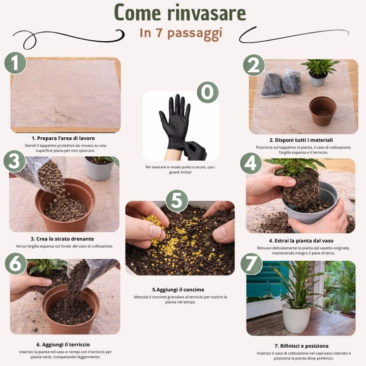 Infografica che mostra i vari passagi per utilizare il kit rinvaso 