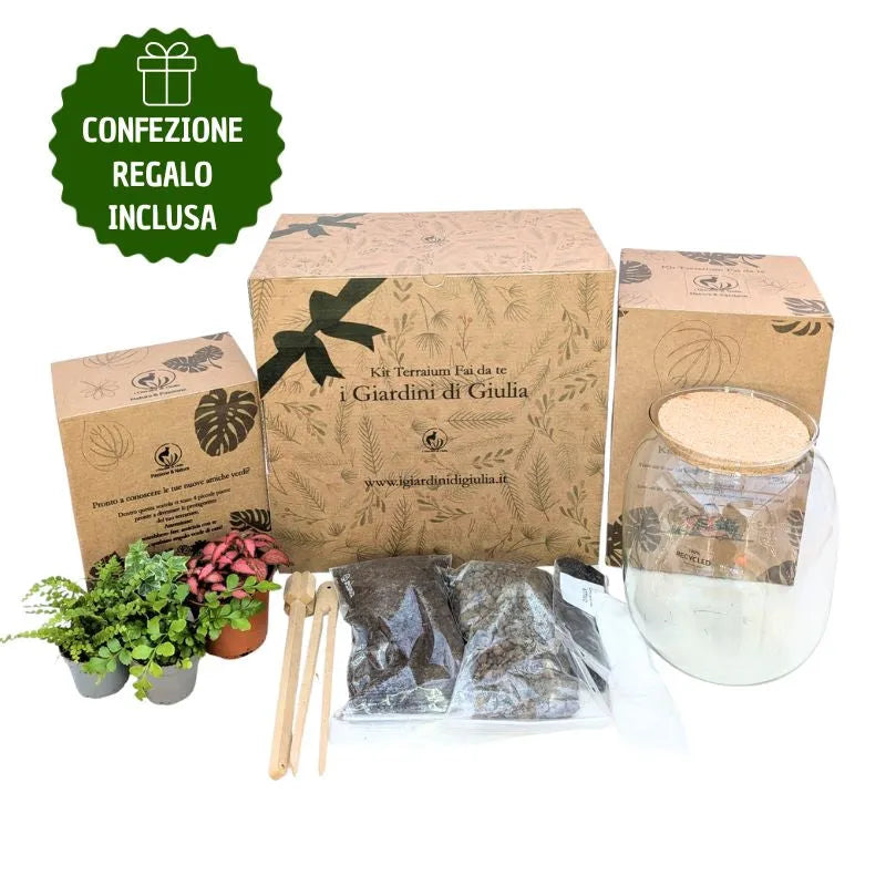 immagfine che mostra tutti i componenti del kit terrarium con la scatola regalo 