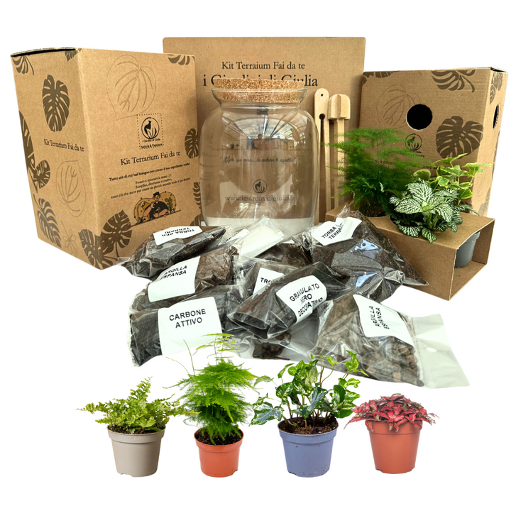 Kit Fai Da Te Terrarium Completo - Crea il Tuo Mini Giardino Elegante