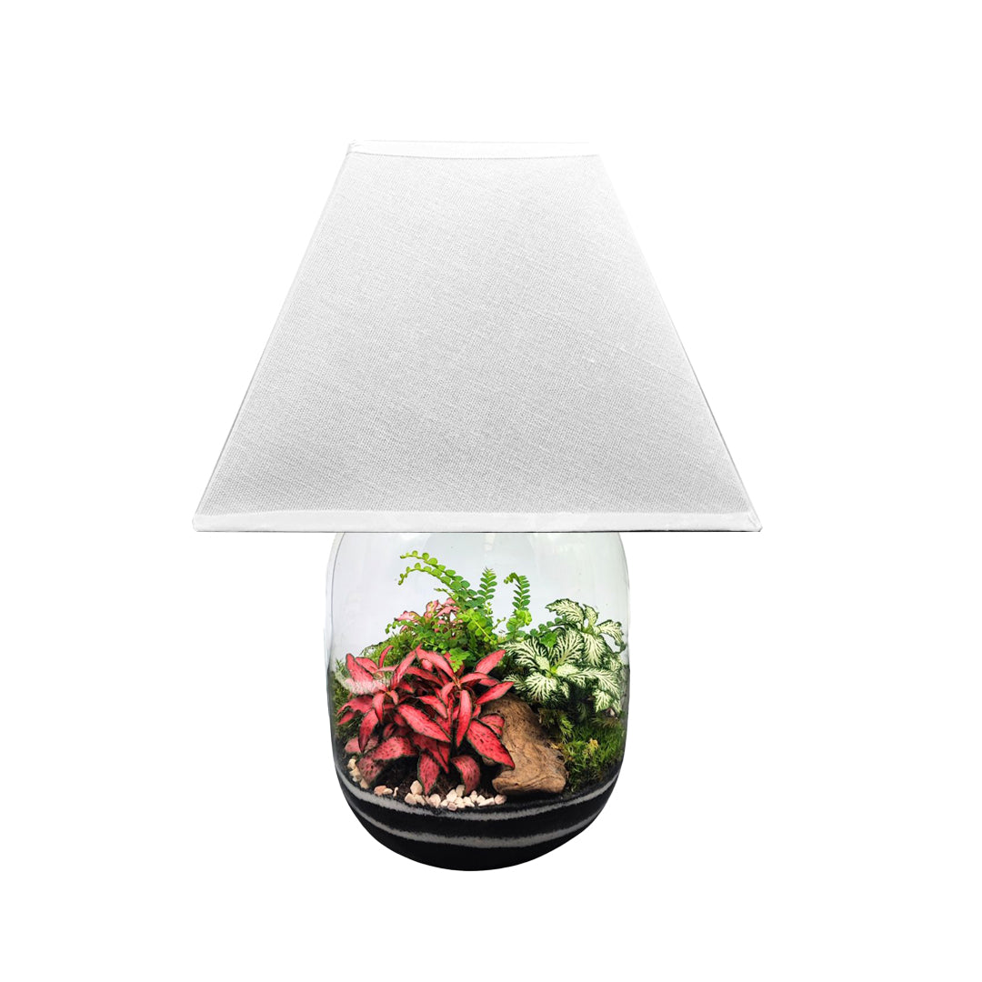 Terrarium Lamparium Oasi Lux elegant LUM03 - i Giardini di Giulia  
