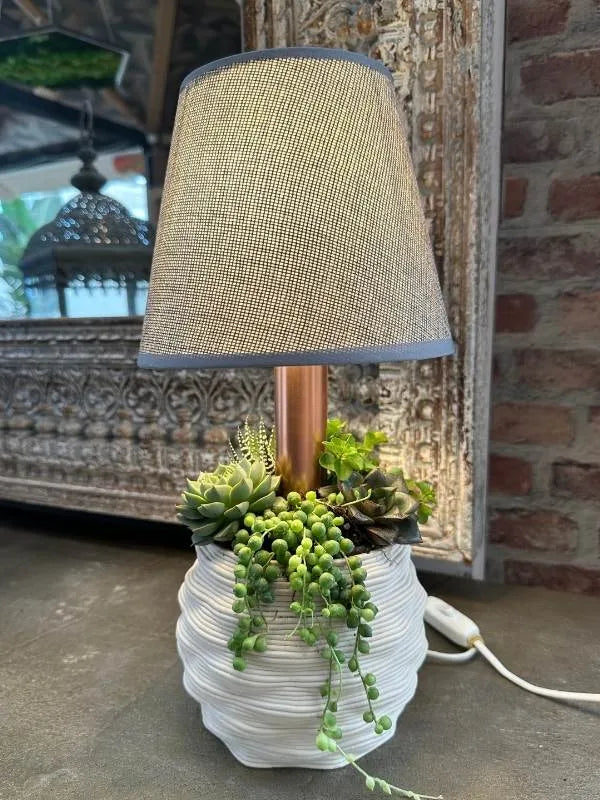 Lume Gaudì - i Giardini di Giulia 