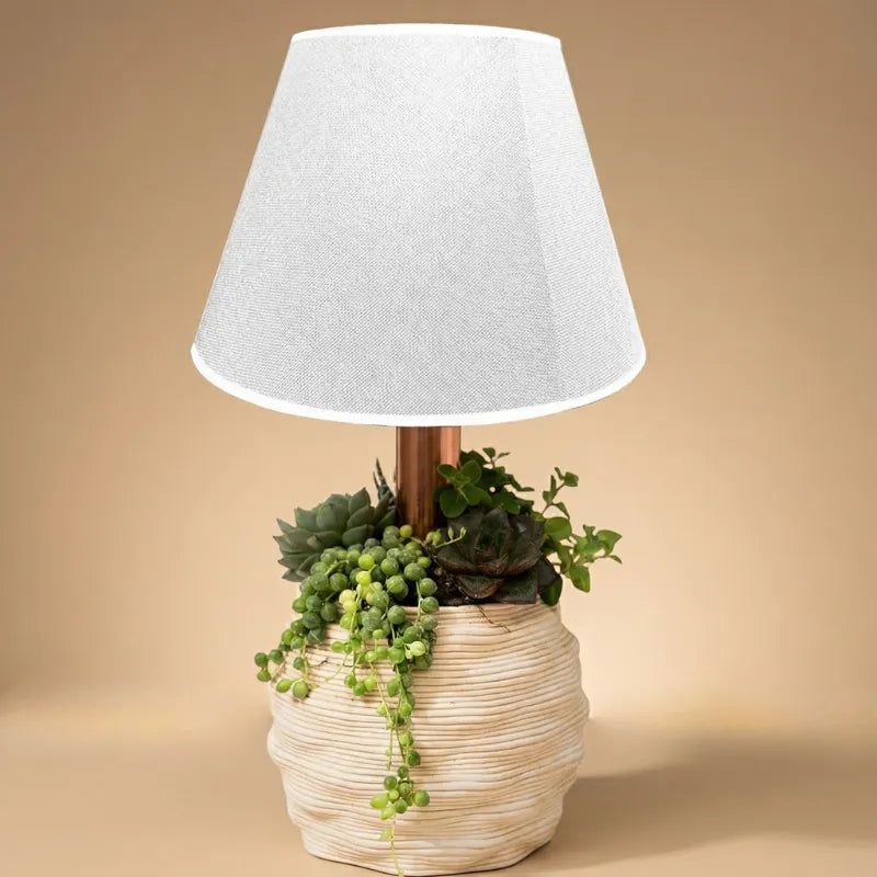 Composizione di piante grasse con lume su sfondo bianco 