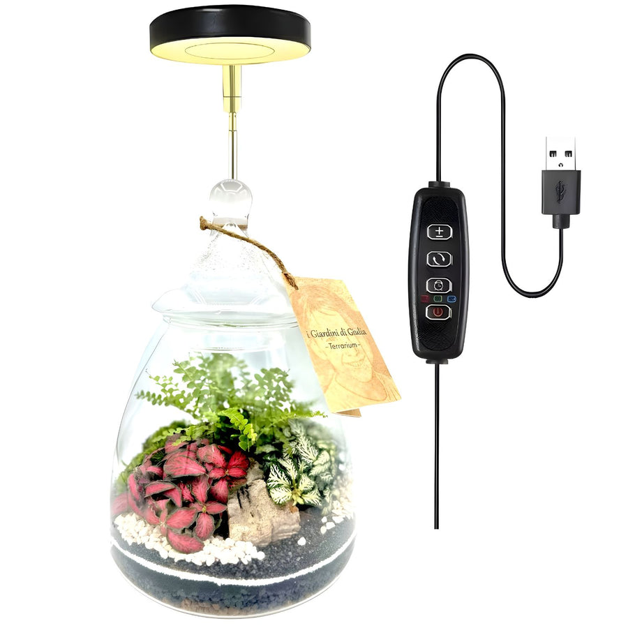 L'immagine mostra un terrario sospeso in vetro con piante decorative come felci e fittonie, illuminato da una lampada LED regolabile tramite telecomando USB. Un elegante elemento decorativo con strati di ghiaia e muschio.