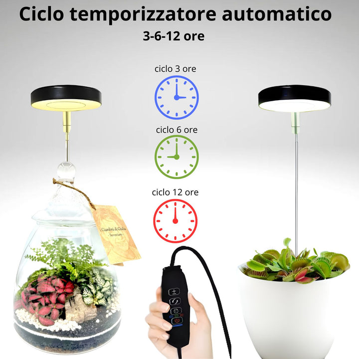 L'immagine mostra una lampada LED per piante con ciclo di temporizzazione automatico regolabile per 3, 6 o 12 ore, facilmente gestibile tramite un controller. È illustrata in due utilizzi: una lampada sospesa su un terrario e una piantina illuminata da una versione con asta telescopica.