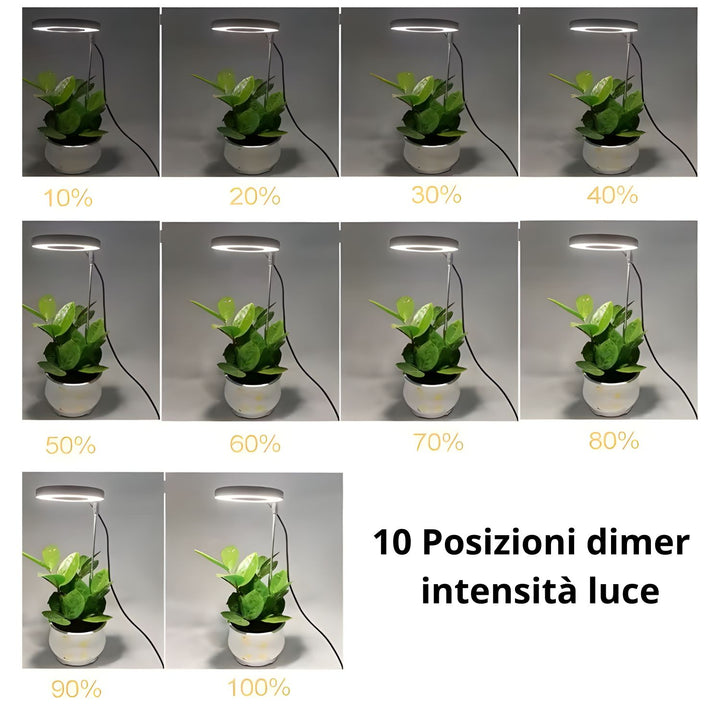 
L'immagine mostra una lampada per piante con 10 livelli di intensità di luce regolabili (dal 10% al 100%), consentendo di adattare l'illuminazione in base alle esigenze delle piante.