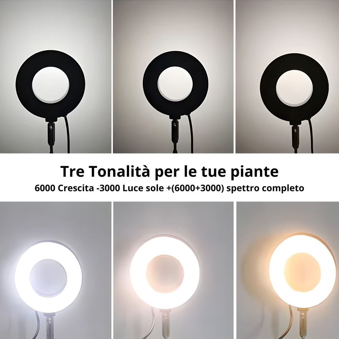 L'immagine mostra tre diverse tonalità di luce offerte da una lampada per piante: 6000K per la crescita, 3000K per la luce solare naturale e una combinazione 6000K + 3000K per uno spettro completo. Queste tonalità permettono di adattare la luce in base alle esigenze specifiche delle piante.