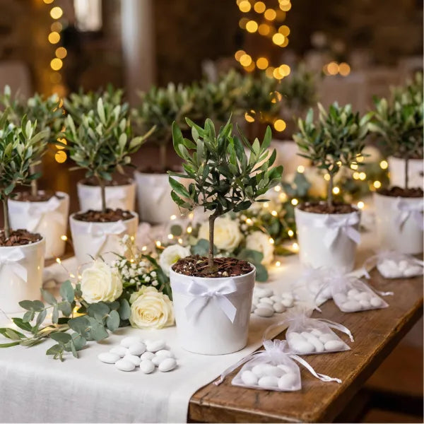 MIni bonsai bonboniera per eventi von fiori e confetti 