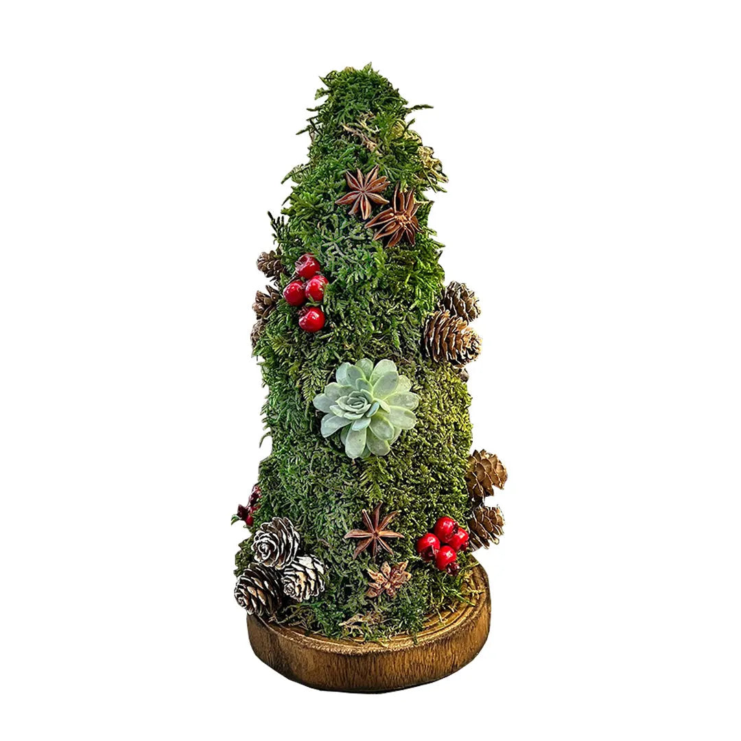Mini Albero di Natale con Muschio