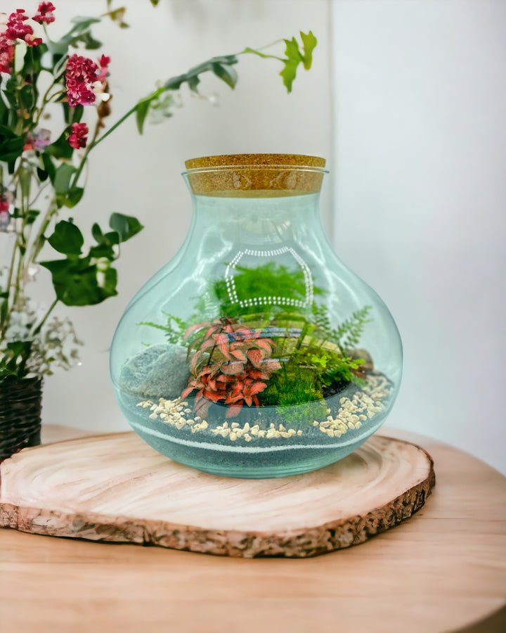 Terrarium Giardino Segreto Urbano