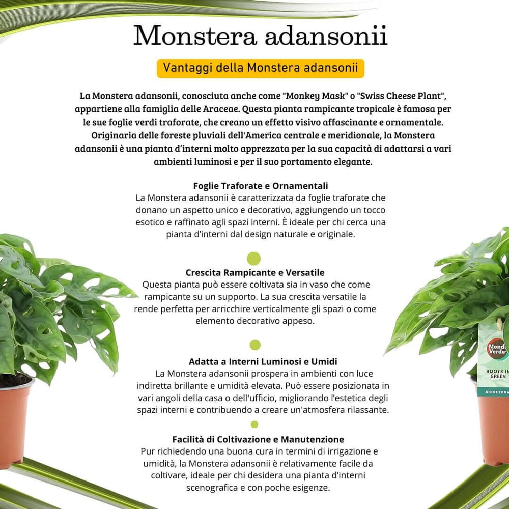 i Giardini di Giulia 