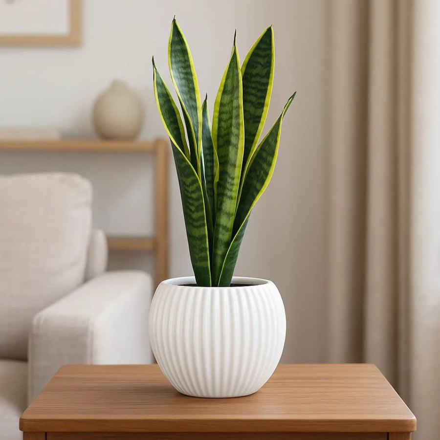 Vaso "Sfera" in ceramica bianca lucida rigato D.13 H.14 cm - i Giardini di Giulia  