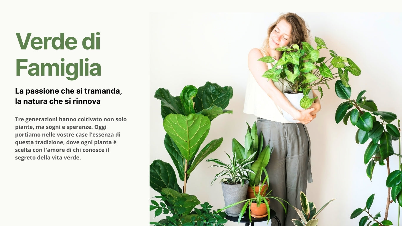 i Giardini di Giulia 