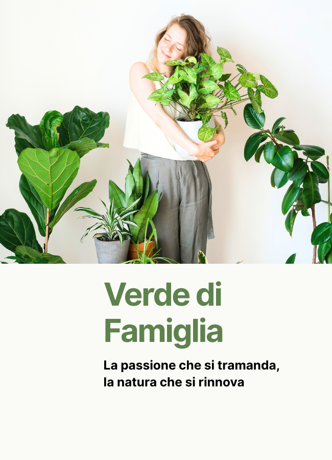 i Giardini di Giulia 