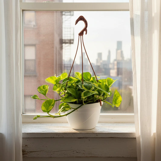 Pothos N’Joy Basket con foglie verde e gialle posizionato su davanzale luminoso, pianta da interno resistente adatta anche a poca luce.