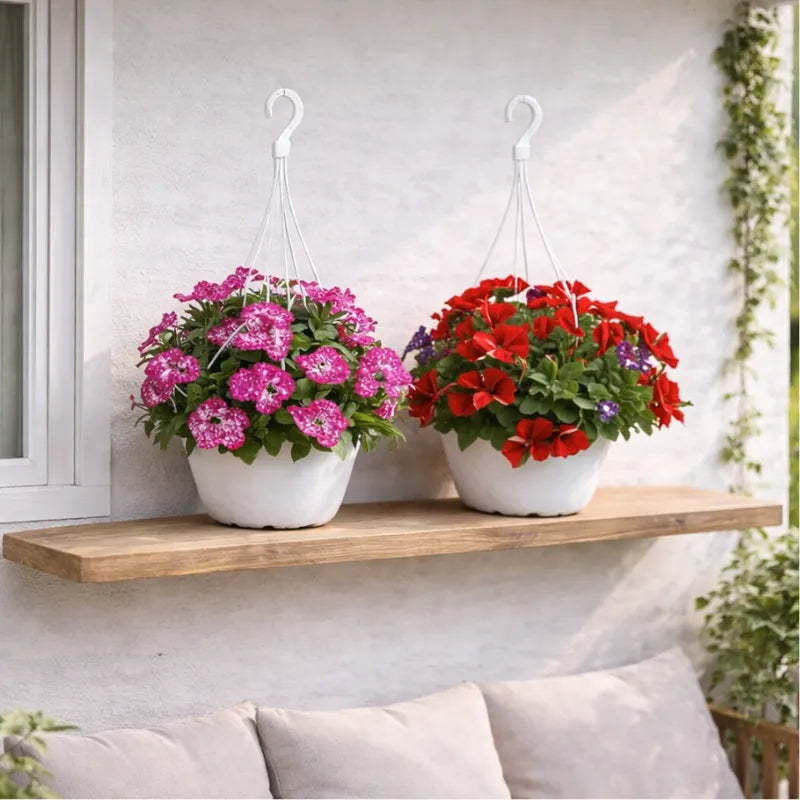 Potunia in vaso basket - Composizione di più piante su un balcone fiorito