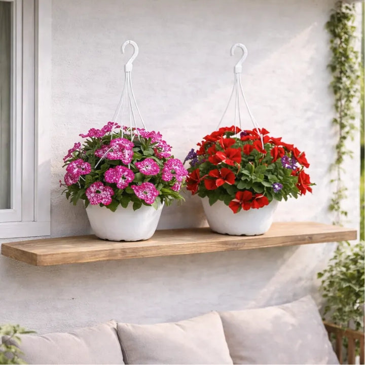 Potunia in vaso basket - Composizione di più piante su un balcone fiorito
