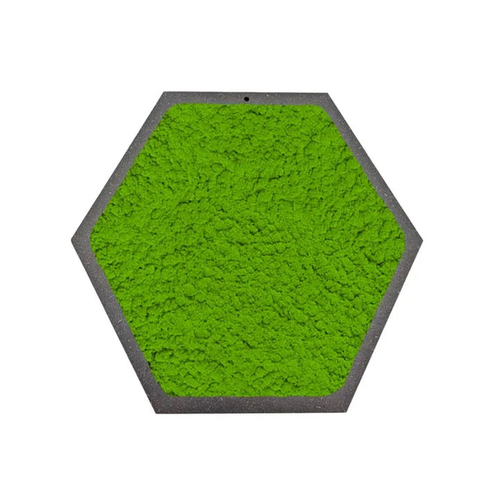 Quadro esagonale di Licheni Stabilizzati cornice Nera