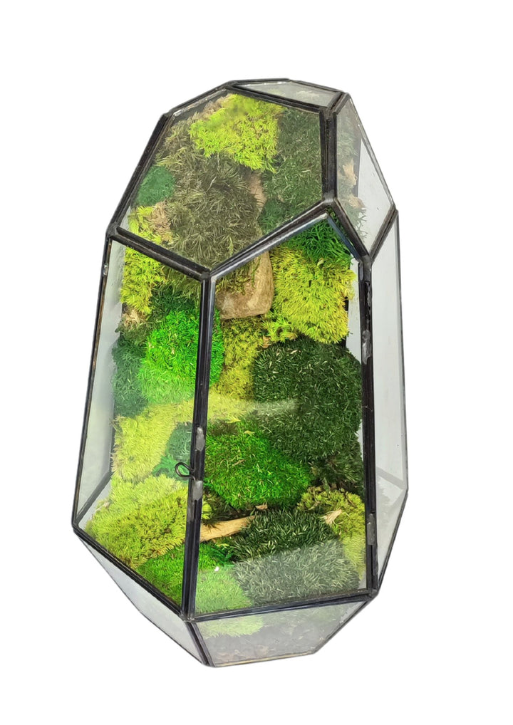 Terrarium geometrico Universo di Vetro 2TR067