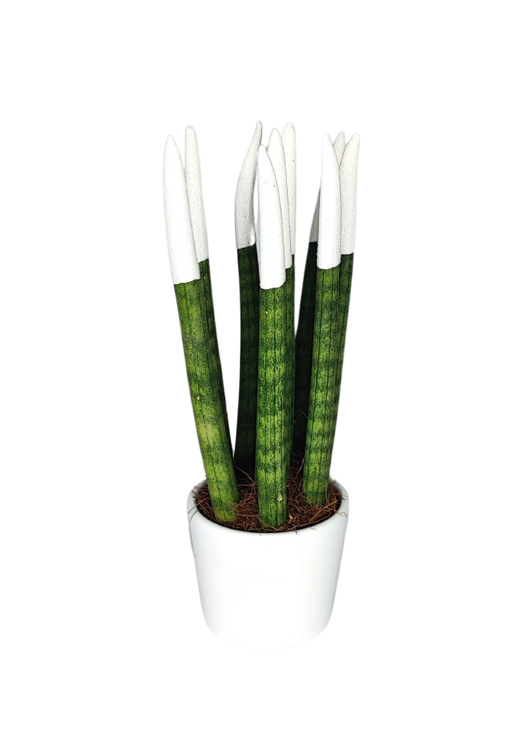 Set di 7 Sansevieria Velvet Touch Mini in Vaso di Ceramica