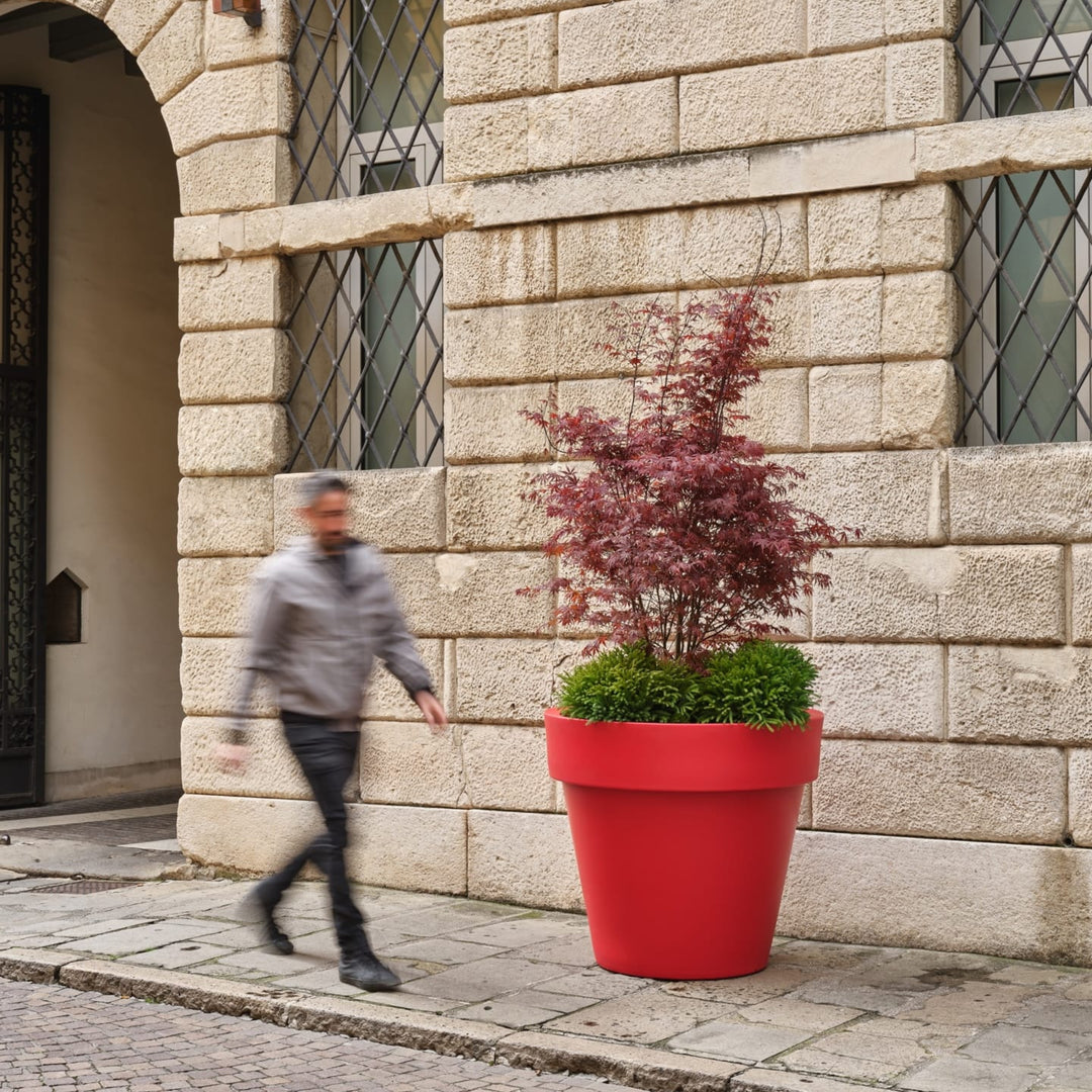 Standard One Cono - i Giardini di Giulia  