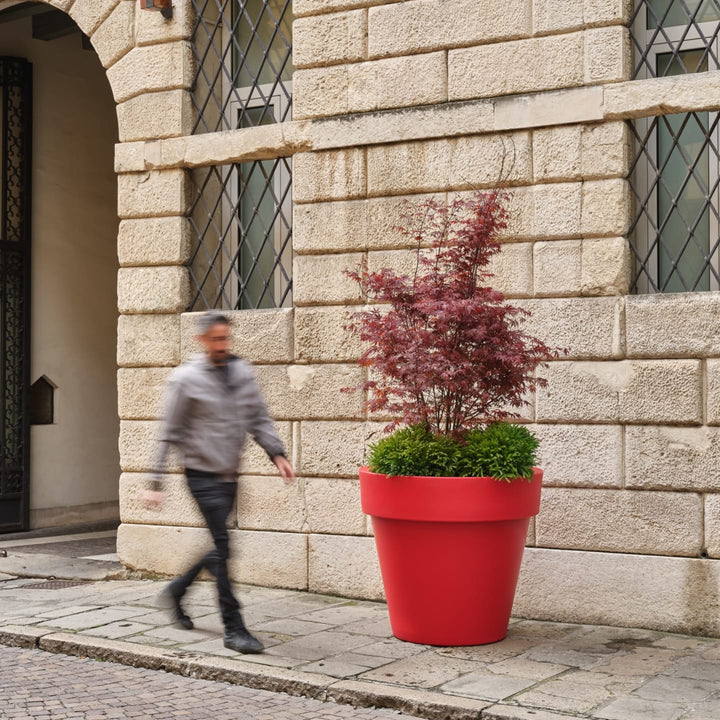 Standard One Cono - i Giardini di Giulia  