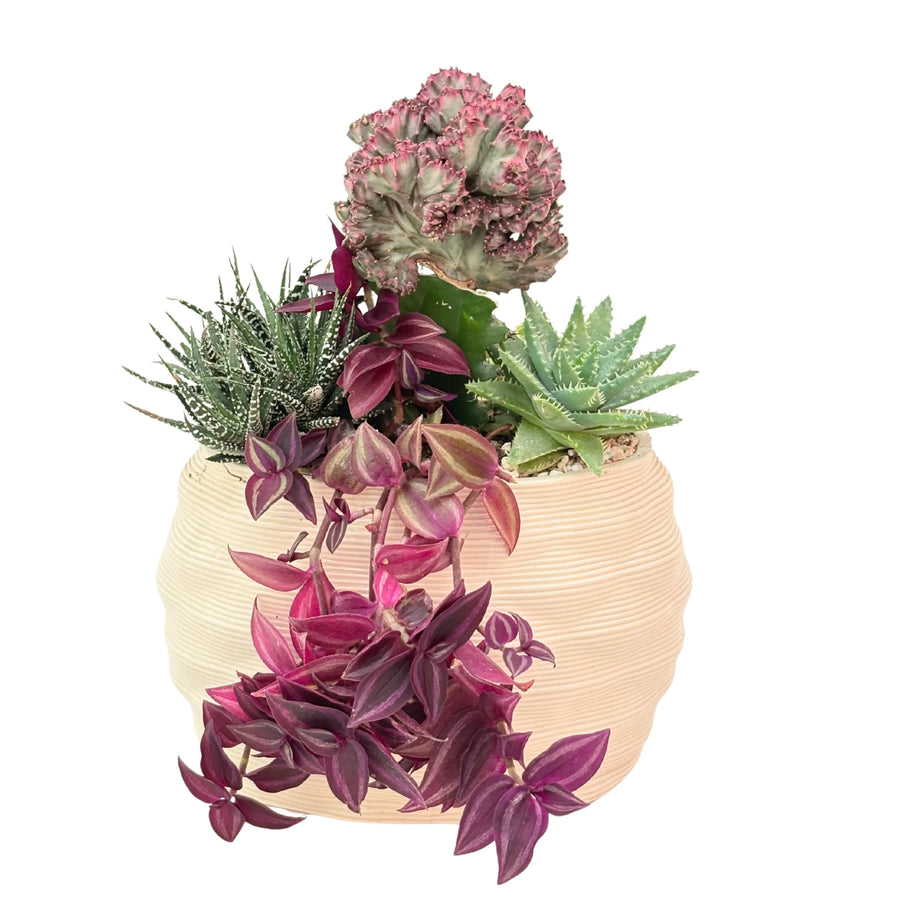 i Giardini di Giulia 