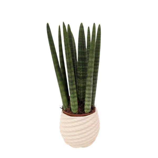 i Giardini di Giulia 