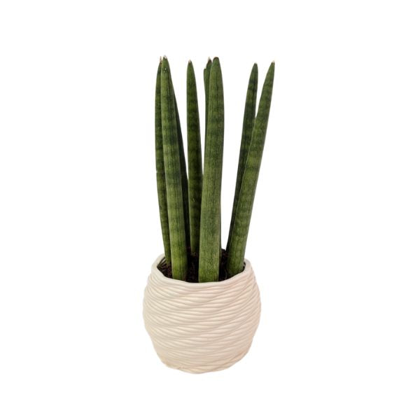 i Giardini di Giulia 