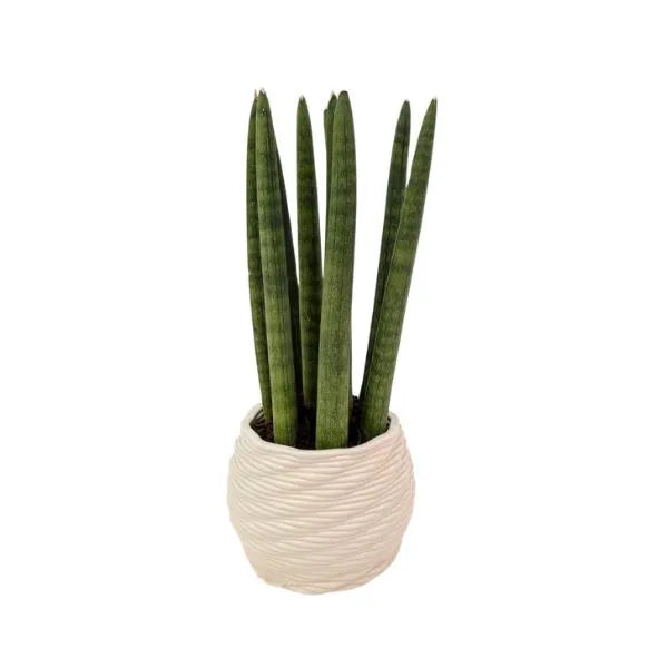 i Giardini di Giulia 