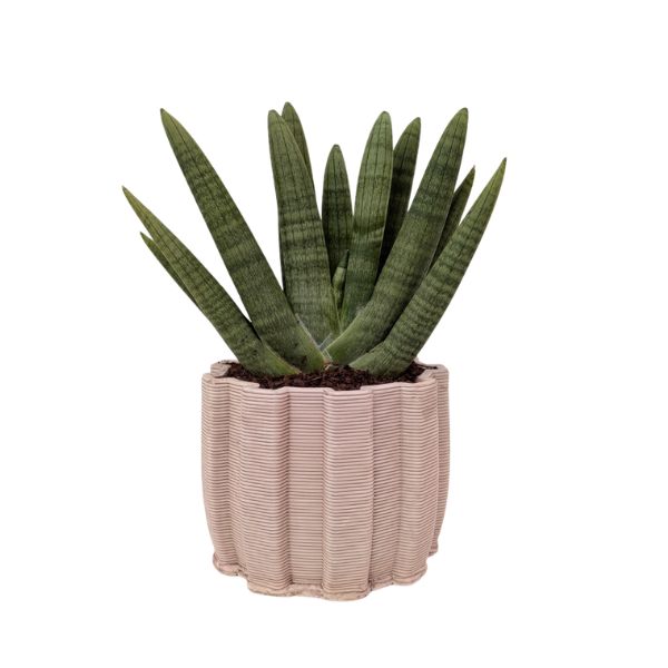 i Giardini di Giulia 