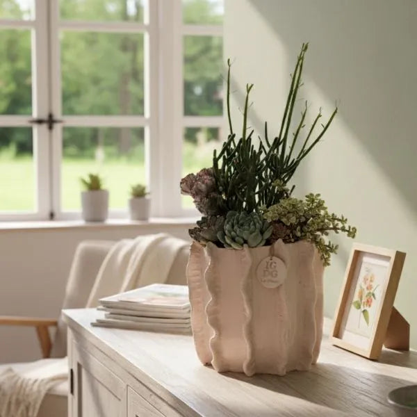 Composizione di piante grasse in vaso di argilla Penelope H.25,5 cm