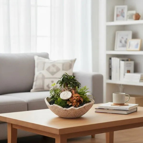 Geoterrarium con bonsai D.24