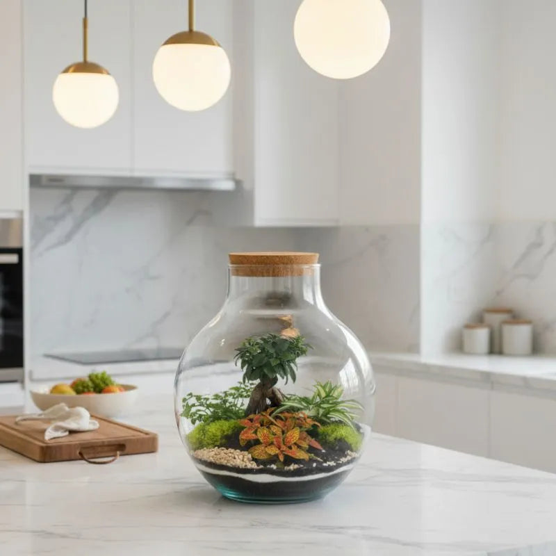 Piante verdi da interno - terrarium Ariel posizionato su un tavolo in un ambiente domestico