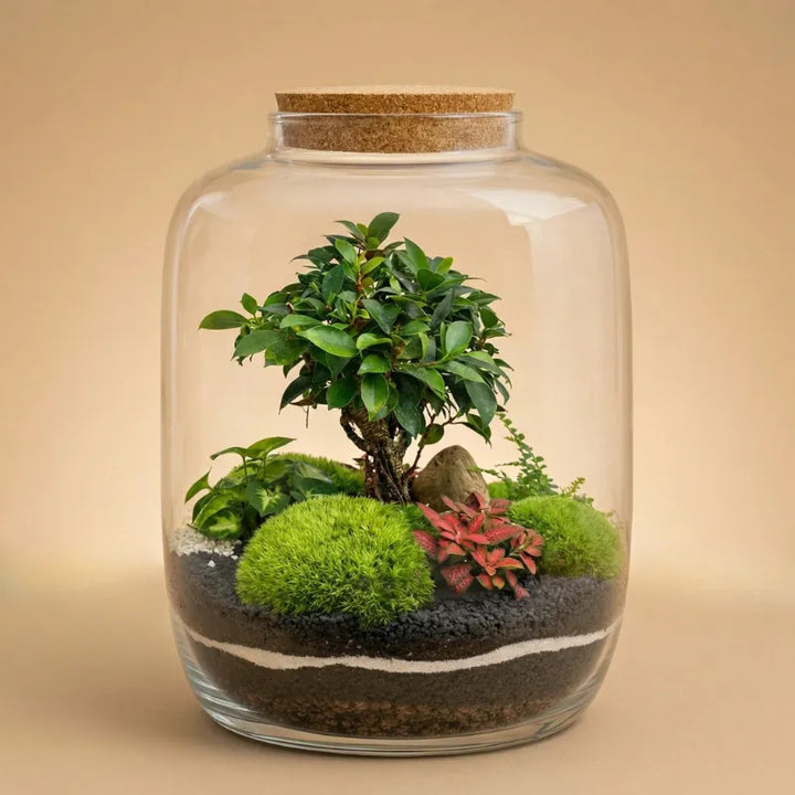 Terrarium piante verdi Zeno - Vista frontale del terrarium chiuso con piante lussureggianti