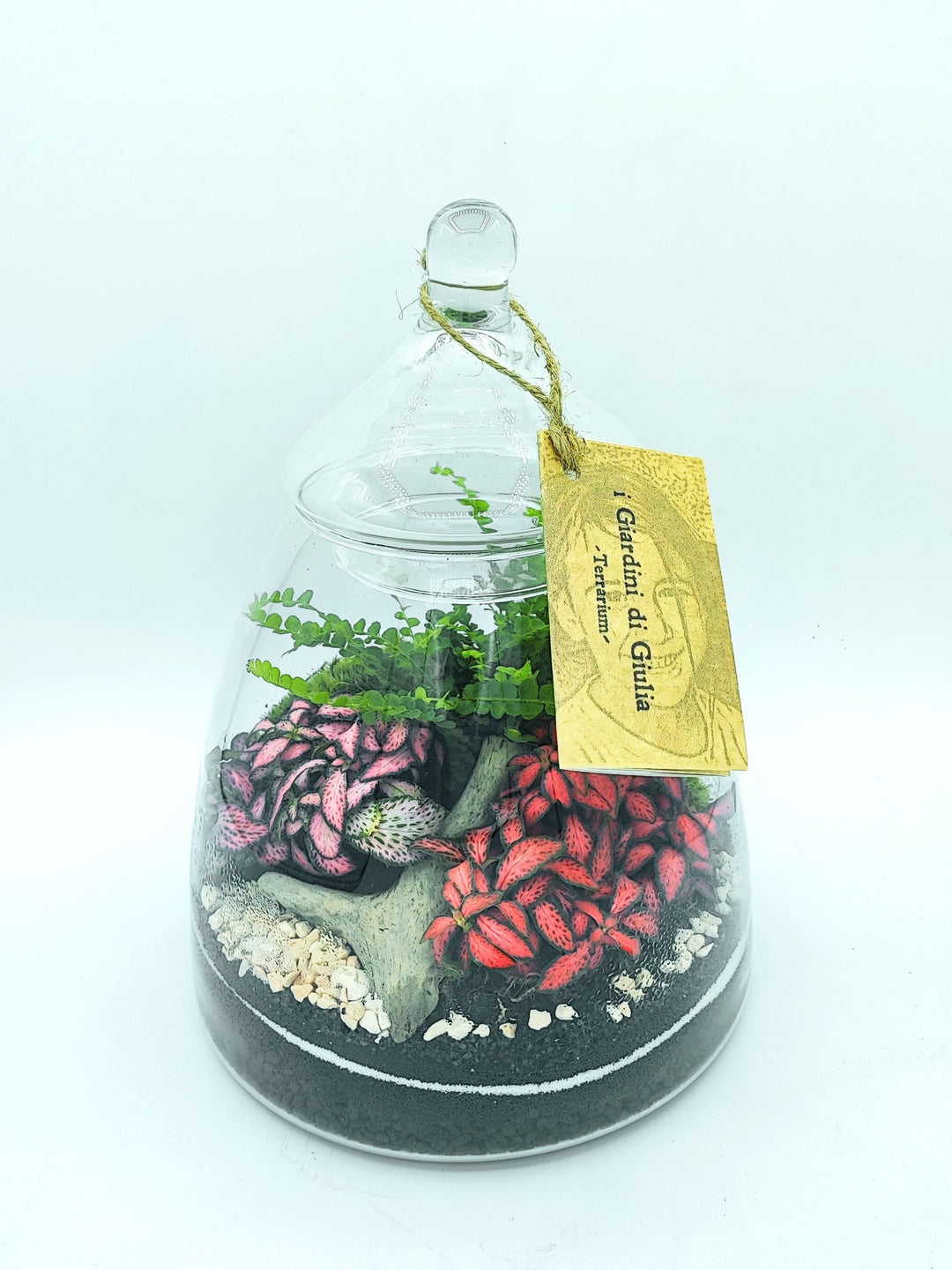 Immagine di un terrarium di vetro con piante tropicali variopinte, tra cui rossi brillanti e rosa, con un'etichetta "I Giardini di Giulia" appesa al coperchio