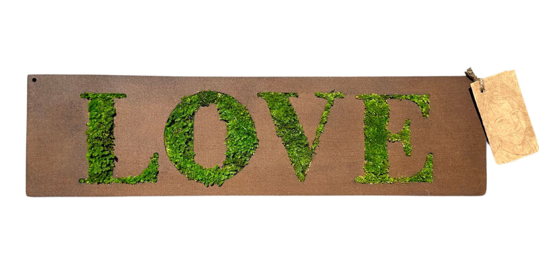 Quadro Rettangolare "Love" muschio stabilizzato 40x 18 cm.