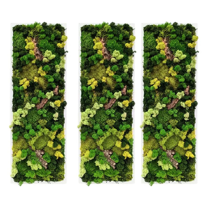 Quadro Rettangolare con Cornice Bianca o Nera e Inserti in Sughero